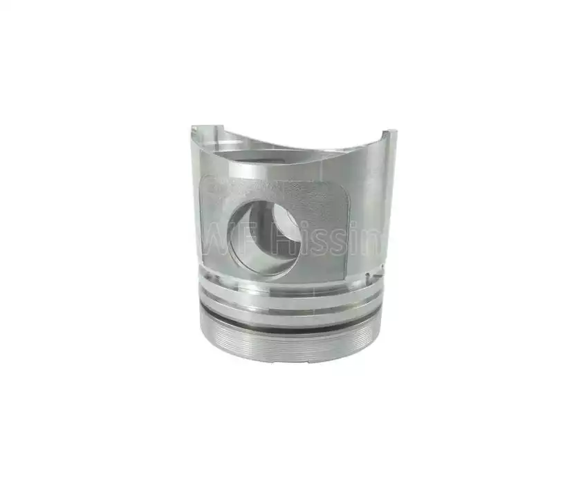 Piston QC495T